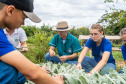  Educação aumenta alimentos orgânicos na merenda e ensina prática nas escolas