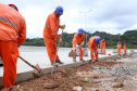 Obra na Rodovia dos Minérios tem avanços na construção de viadutos e pontes 