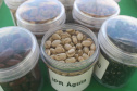 Vânia Moda Cirino é responsável técnica pelo desenvolvimento de mais de 38 cultivares de feijão, trabalho que contribui com os pequenos produtores e para a segurança alimentar da população. Na foto,  nova cultivares de feijão do IDR-Paraná foram destaque no Show Rural