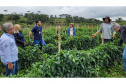 Ações do IDR-Paraná preservam recursos hídricos