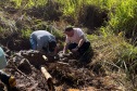 Regionais do IAT plantaram cerca de 18 mil mudas em diferentes localidades do Estado para recuperar matas ciliares