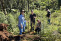 Regionais do IAT plantaram cerca de 18 mil mudas em diferentes localidades do Estado para recuperar matas ciliares