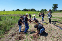 Regionais do IAT plantaram cerca de 18 mil mudas em diferentes localidades do Estado para recuperar matas ciliares