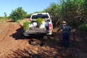 Regionais do IAT plantaram cerca de 18 mil mudas em diferentes localidades do Estado para recuperar matas ciliares