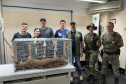 Captura da onça parda mobilizou técnicos do Instituto Água e Terra (IAT), militares do Batalhão de Polícia Ambiental-Força Verde (BPAmb-FV) e um médico veterinário anestesista. Animal é um macho com 36 quilos, jovem e saudável.