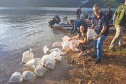Soltura de peixe surubim na da 7ª Copa Iguaçu de Pesca Esportiva