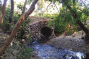 Ponte Pinguim