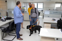 Governo recebe Rock e Roberto Leite, dupla de cego e cão-guia que vai trabalhar em órgão estadual