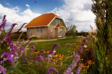 Rota da Lavanda