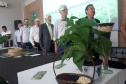 Lançamento do Feijão IPR Águia, em Ponta Grossa