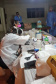 Sesa realiza ação de prevenção e controle da hantavirose em Guarapuava