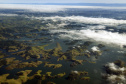 Selo Clima Paraná