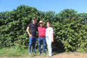 Visita técnica do Sistema Estadual de Agricultura a propriedades de café em Carlópolis