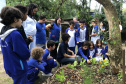 Portos do Paraná instala duas novas composteiras em escolas da Ilha do Mel