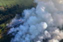  Fiscalização do IAT em parceria com a Força-Verde e a Marinha resultou em prisão, multas e o embargo de áreas desmatadas.