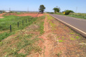 PR-489 Umuarama - Xambrê