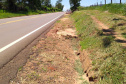 PR-489 Umuarama - Xambrê