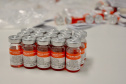 O novo Laboratório de Pesquisa e Produção de Insumos para Diagnósticos Veterinários do Tecpar fabricará insumos para o diagnóstico da brucelose, tuberculose e leucose bovina.