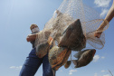 Na primeira faixa, que engloba trabalhadores agropecuários, florestais e da pesca, o salário salta de R$ 1.731,02 para R$ 1.749,02. 