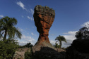 De acordo com levantamento da Diretoria de Patrimônio Natural do Instituto Água e Terra (IAT), 209.812 mil turistas passaram pelos complexos ambientais do Paraná nos primeiros quatro meses de 2023.