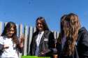 Colégio Agrícola da Lapa abraça projeto de abelhas nativas e leva tema às aulas