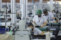 Com 62,9 mil novas vagas, Paraná tem melhor saldo de empregos da região Sul de janeiro a maio