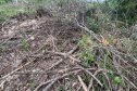 Fiscais do Instituto Água e Terra (IAT) detectaram 245,42 hectares de vegetação nativa retirada ilegalmente e emitiram 167 Autos de Infração Ambiental no Sudoeste do Paraná