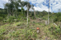 Fiscais do Instituto Água e Terra (IAT) detectaram 245,42 hectares de vegetação nativa retirada ilegalmente e emitiram 167 Autos de Infração Ambiental no Sudoeste do Paraná
