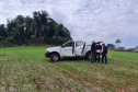 Fiscais do Instituto Água e Terra (IAT) detectaram 245,42 hectares de vegetação nativa retirada ilegalmente e emitiram 167 Autos de Infração Ambiental no Sudoeste do Paraná