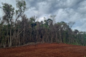Fiscais do Instituto Água e Terra (IAT) detectaram 245,42 hectares de vegetação nativa retirada ilegalmente e emitiram 167 Autos de Infração Ambiental no Sudoeste do Paraná