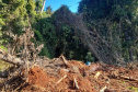 Fiscais do Instituto Água e Terra (IAT) detectaram 245,42 hectares de vegetação nativa retirada ilegalmente e emitiram 167 Autos de Infração Ambiental no Sudoeste do Paraná