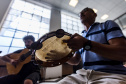 Bonecos, marionetes e atrações para as idades marcam uma semana repleta de atividades culturais