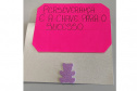Projeto envolveu toda a escola