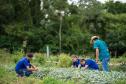 COLÉGIO AGRÍCOLA