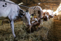 Instituto Água e Terra concedeu a Licença Ambiental de Operação que permite o início da construção de uma nova sede da Frísia Cooperativa Agroindustrial em Ponta Grossa