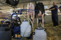 Instituto Água e Terra concedeu a Licença Ambiental de Operação que permite o início da construção de uma nova sede da Frísia Cooperativa Agroindustrial em Ponta Grossa