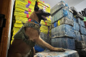 Polícia Militar apreende quase quatro toneladas de drogas em Pato Bragado
