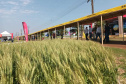 Estado reforça convite para municípios aderirem a sistema que elimina limites para venda de produtos agroindustrializados