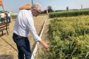 Estado reforça convite para municípios aderirem a sistema que elimina limites para venda de produtos agroindustrializados