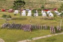 Brigadistas Voluntários
