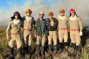 Brigadistas Voluntários