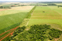 Corredor Ecológico