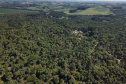 Com inclusão da erva-mate, Prêmio Orgulho da Terra 2023 destaca boas práticas no campo