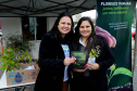 floresce