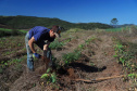 Coopera Paraná: Governo publica edital de R$ 31,5 milhões para apoiar agricultura familiar