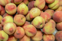 AGRO