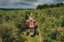 Banco do Agricultor