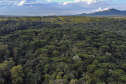 Com protagonismo ambiental, Paraná é o terceiro estado mais competitivo do Brasil