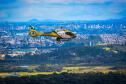 PROJETO FALCÃO