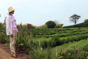 Banco do Agricultor